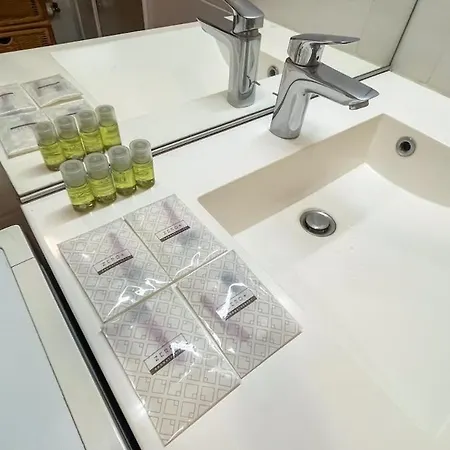 Appartement Duplex Quartier Perrache Confluence